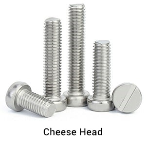 Chees Head Chees Head